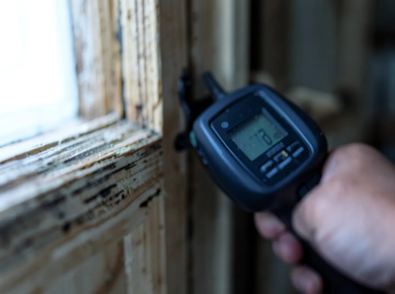 Moisture Inspection And Documentation in Lakehurst, NJ